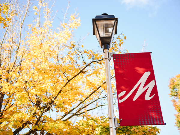 A Muhlenberg College banner hangs on a streetlight pole that stands in front of a tree with bright yellow fall foliage.
